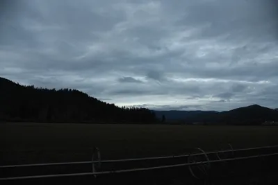 DSC_6742 (Large).JPG